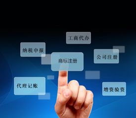 富海360网络营销全案 科技推广与应用服务的数字化增长引擎