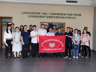 科技赋能 绿色未来——潍坊设施番茄产业服务团推广天敌生防技术纪实