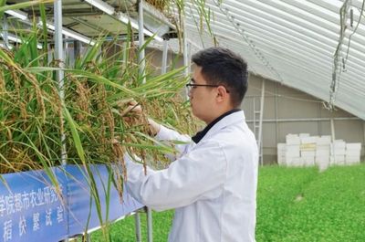 国际首次试验成功，核心技术源自天府新区科技推广与应用服务