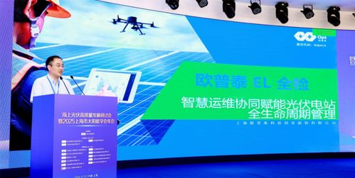 海上光伏高质量发展研讨会暨2025上海市太阳能学会年会顺利召开 科技推广与应用服务的新篇章